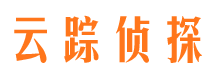 岱岳侦探